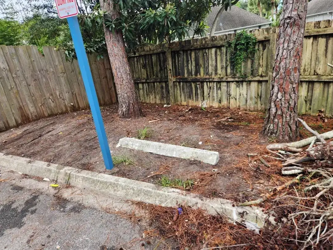 Community pickup area cleared after recurring bulk trash service