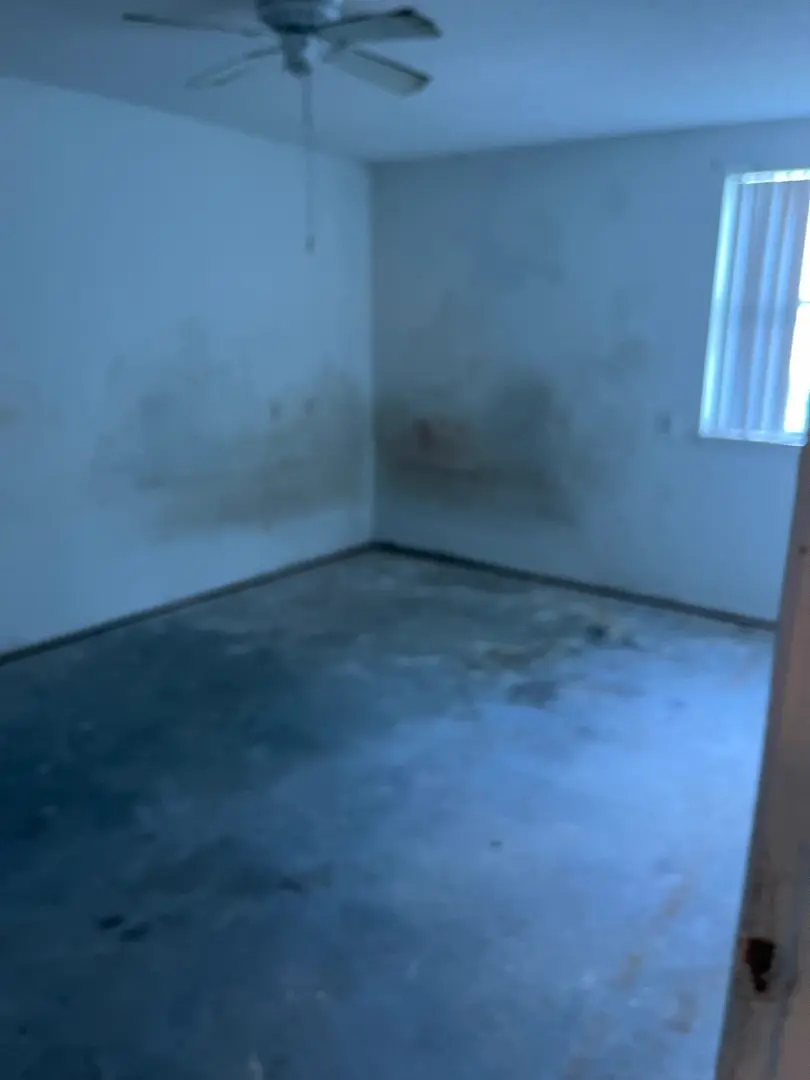 Cleared apartment bedroom after The Junk Generals completed removal