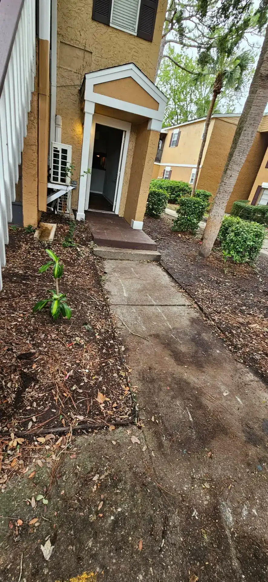 Cleared apartment walkway and entry after an eviction set-out removal